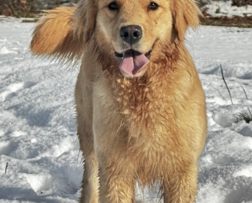 0f5d5cf5-6a36-4559-9771-bf2cbcc548b5Mulan