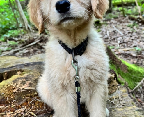 3a7bedbf-bd05-4d5d-8092-608fa26c5c6cMulan